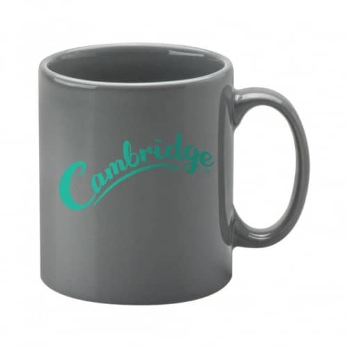 Cambridge Grey Earthenware Mug