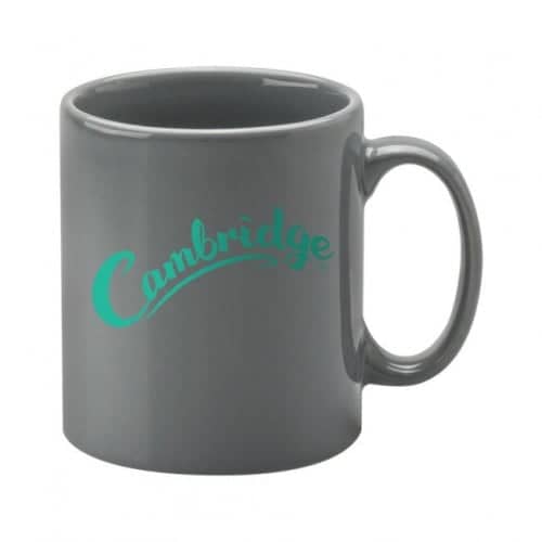 Cambridge Grey Earthenware Mug