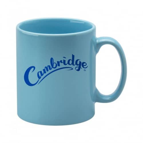 Cambridge Light Blue Earthenware Mug