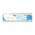 T6A Clear/T6C Coloured 6" Insert Ruler