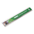 Promotional Insert 300mm Rulers
